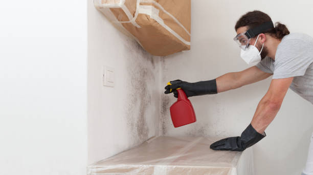 Professional Bathroom Mold Removal technician working in Des Plaines, IL