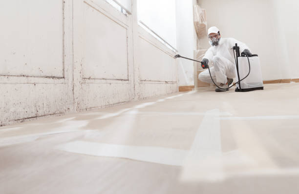 24/7 Emergency Bathroom Mold Removal experts in Des Plaines, IL